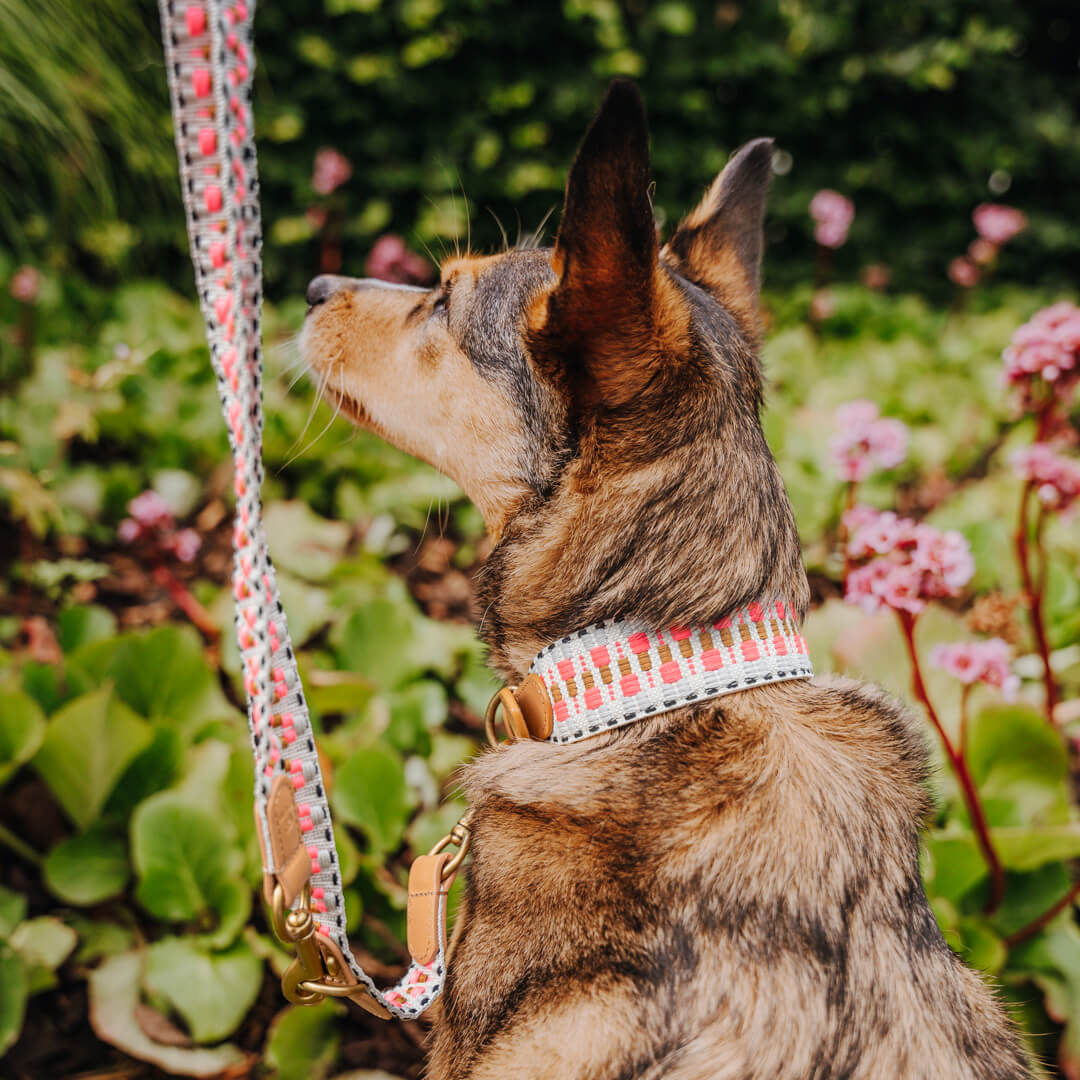 Hey Lana Premium Hundehalsband gepolstert, Rindsleder, gewebte Biobaumwolle, Neopren „Trés chic pink/beige, XS, S, M, L