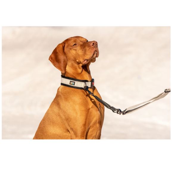 Rukka Pets Ruckdämpfer, Leinenverlängerung, dämpft das Ziehen, schwarz (M, L) – Bild 3