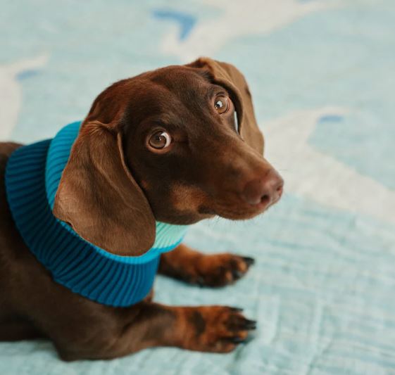 lumiies® THE GLOW LOOP, CRYSTAL SKY Neonfarben, Spezialgarn, schnelltrocknend, speichert Wärme, waschbar (1, 2, 3) – Bild 4