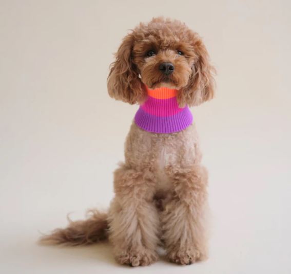 lumiies® THE GLOW LOOP, ELECTRIC SUNSET Neonfarben, Spezialgarn, schnelltrocknend, speichert Wärme, waschbar (1, 2) – Bild 3