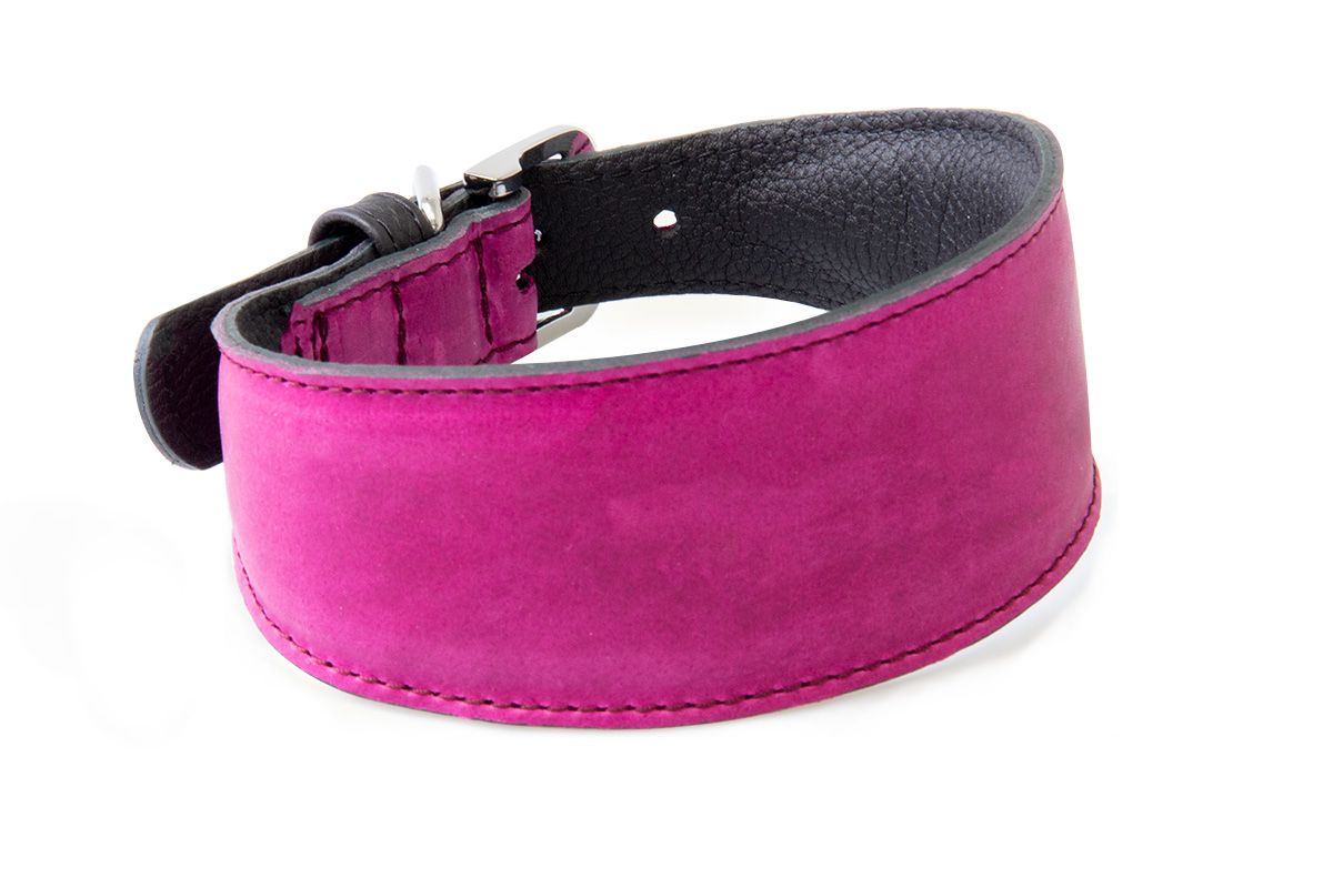 Das Lederband, Windhundhalsband Vancouver, weich und anschmiegsam, Echtleder aus Deutschland, Violet (35, 40, 45)