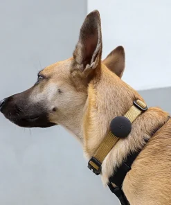 zeedog AirTag-Halter, bis 2,5cm Halsbänder Silikon, schwarz